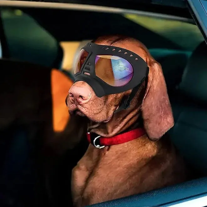 Dog Sunglass Goggles Protection